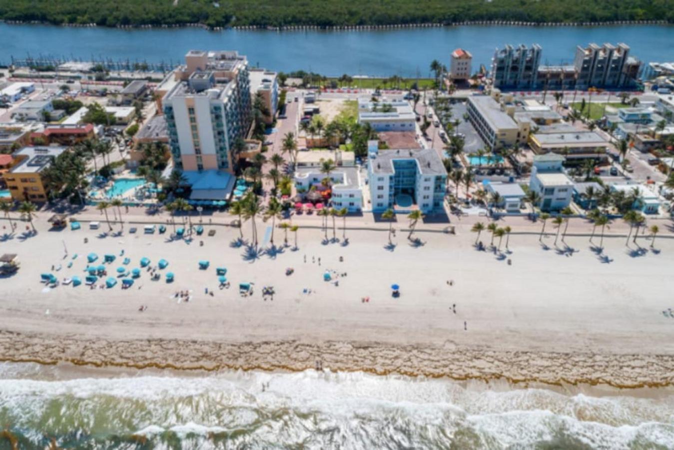 Walkabout 3 King Suite On The Ocean In Hollywood Beach Exterior photo