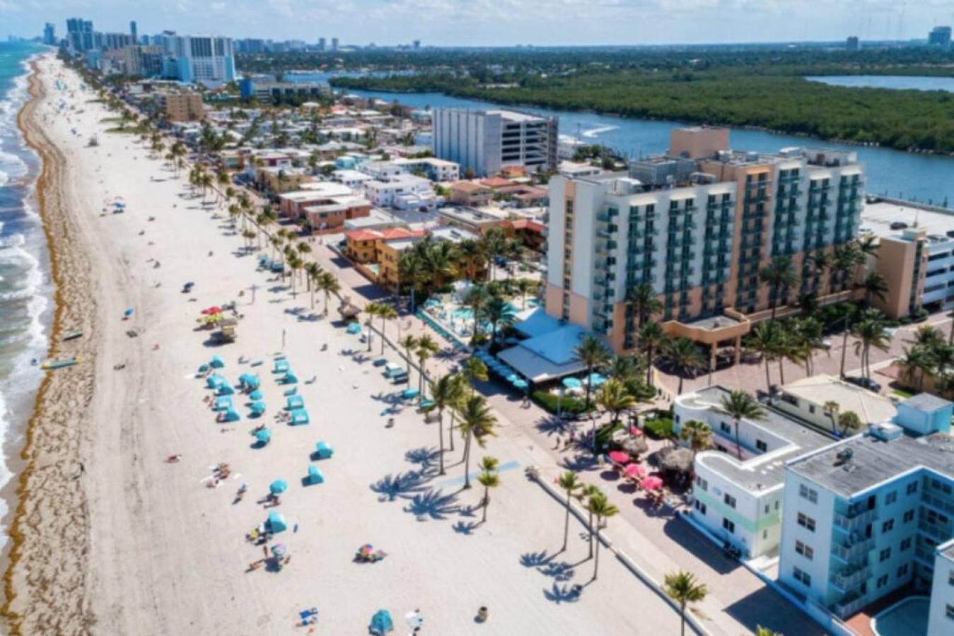 Walkabout 3 King Suite On The Ocean In Hollywood Beach Exterior photo